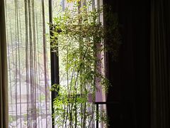 -王府茶宴(大观园总店)