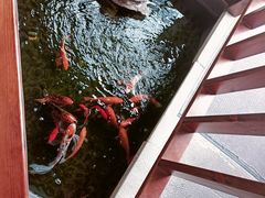 -尺山寸水日料(马桥满天星店)