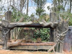-海南热带野生动植物园