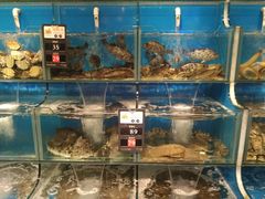 -苏大嘴海鲜牧场(奥林匹克店)