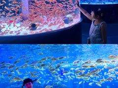 -海合安成都极地海洋公园
