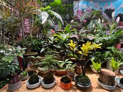 -花鸟鱼虫鲜花绿植市场(玉泉路店)