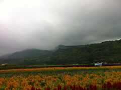 -东部华侨城