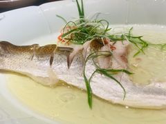 白水鱼-二十八里太湖船菜(吉祥路店)