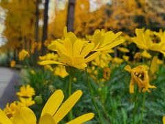 -苏州河梦清园环保主题公园