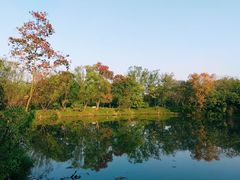 -西溪国家湿地公园