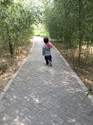 -大望京儿童游乐场