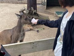 -费瑟代尔野生动物园