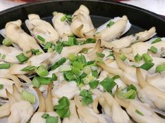 -鸽子窝(宋庄店)