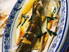 清蒸白水鱼-洞天食府(北大街店)