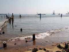 -滨海公园
