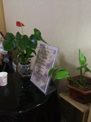 点击看大图 -和寿堂·艾灸·推拿按摩减肥中心