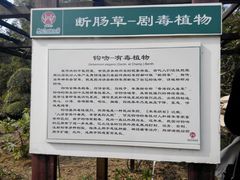 -广西壮族自治区药用植物园
