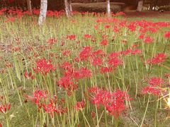 -白塘生态植物园