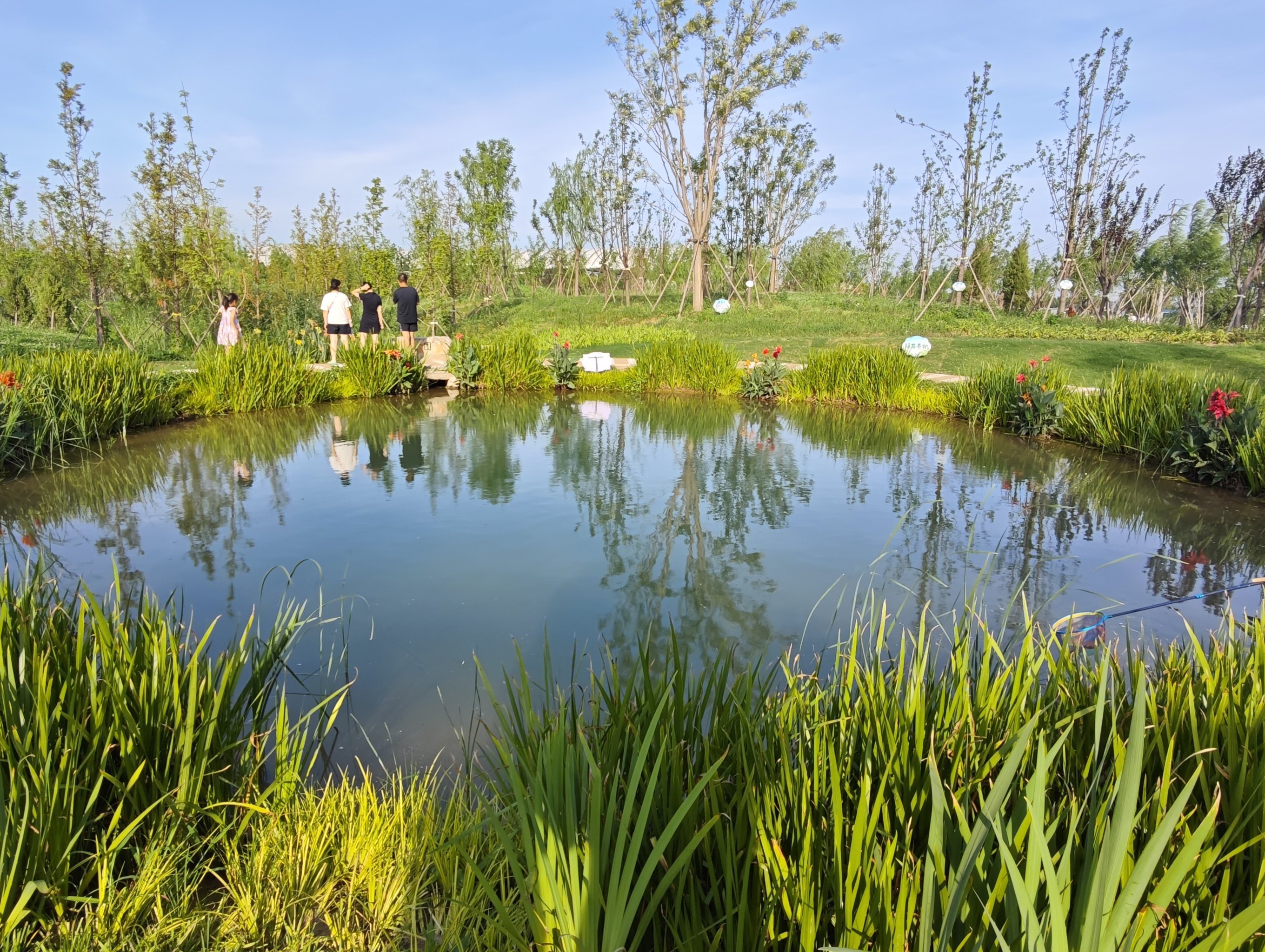 济南新东站旁的宝藏新地标✨ 白泉湿地公园