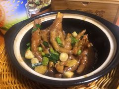 -全乐鱼馆·淳牌有机鱼直营店