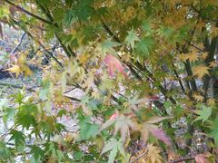 -香山公园-东宫门售票处