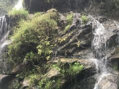 -少华山国家森林公园