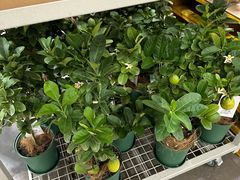 -山姆会员商店(西溪店)