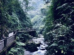 -峨眉山风景名胜区