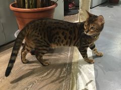 -小时光咖啡馆(开森度假森林店)