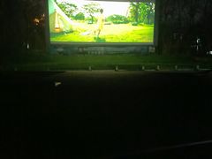 -枫花园汽车电影院(朝阳公园店)