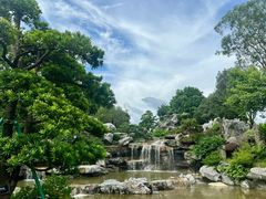 -东莞植物园
