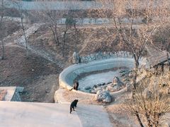 -石家庄市动物园