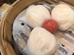 -点都德(千灯湖环宇城店)