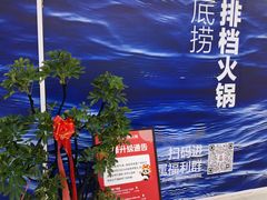 -海底捞大排档火锅(悦荟广场店)