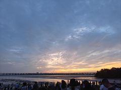 -宝安西湾红树林湿地公园