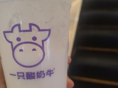 -一只酸奶牛(百联南岸上海城店)