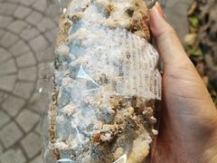 -BreadTalk面包新语·烘焙蛋糕(五羊邨店)