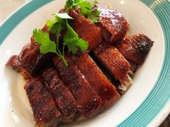 招牌烧鹅-椿记烧鹅(叠彩店)