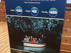 -怀托摩萤火虫洞