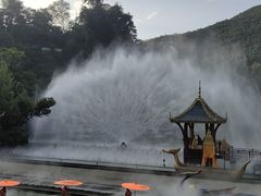 -西双版纳原始森林公园