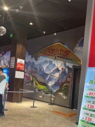 -飞览天下沉浸式飞行体验(北京旗舰店)