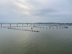 -苏州湾体育公园