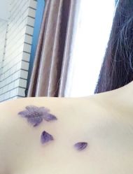 -明星刺青·洗纹身