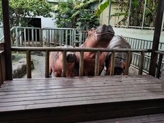 -宁波野生动物园