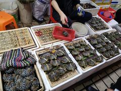 -蛇口市场