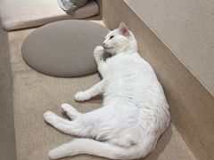 -南枝小馆(银鱼巷店)