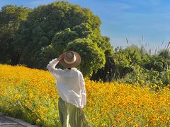 -七的湖·晚芳亭·阳澄湖农家菜·大闸蟹(莲花岛店)