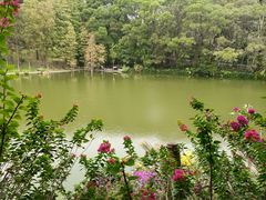 -深圳仙湖植物园