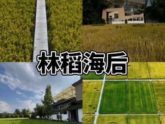 -老鼎万春卤菜(五代传承创始老店)