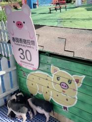 -萌宠亲子动物乐园(槐房万达店)