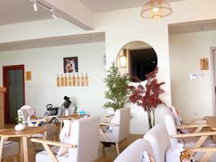 大堂-柴犬小屋·柴餐厅·狗咖食堂(金鼎广场店)