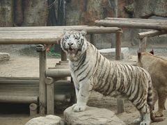 -北京野生动物园