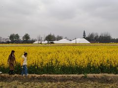 -中国天府农业博览园