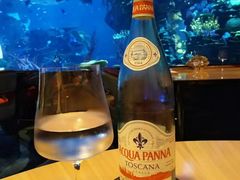 -迪拜帆船酒店海底餐厅